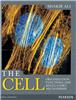 The Cell:  Organisation, Functions and Regulatory Mechanisms,  1/e